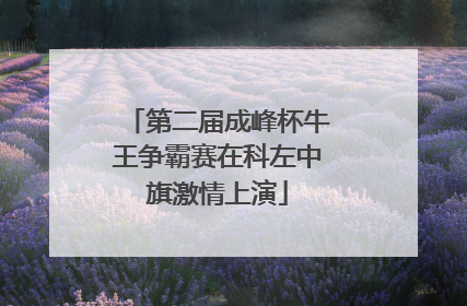 第二届成峰杯牛王争霸赛在科左中旗激情上演