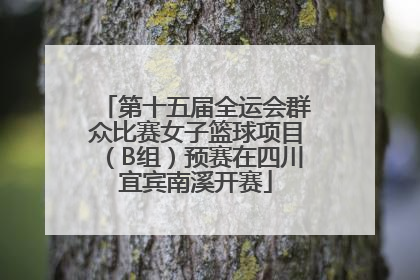 第十五届全运会群众比赛女子篮球项目（B组）预赛在四川宜宾南溪开赛