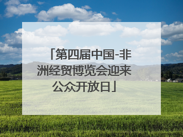 第四届中国-非洲经贸博览会迎来公众开放日