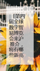 第四届全球数字贸易博览会来沪推介，将有哪些新亮点？