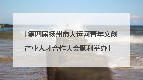 第四届扬州市大运河青年文创产业人才合作大会顺利举办