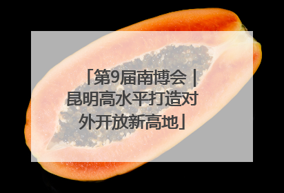 第9届南博会｜昆明高水平打造对外开放新高地