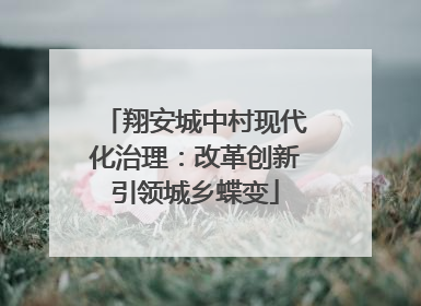 翔安城中村现代化治理：改革创新引领城乡蝶变