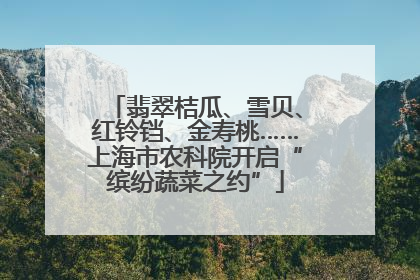 翡翠桔瓜、雪贝、红铃铛、金寿桃……上海市农科院开启“缤纷蔬菜之约”
