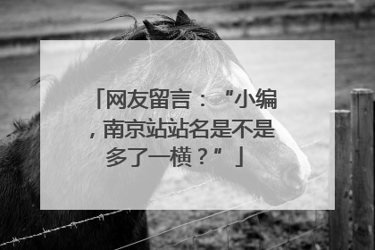 网友留言：“小编，南京站站名是不是多了一横？”