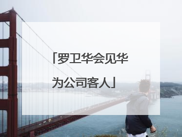 罗卫华会见华为公司客人