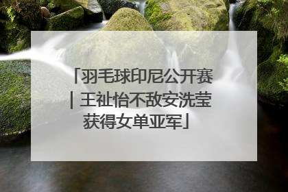 羽毛球印尼公开赛｜王祉怡不敌安洗莹 获得女单亚军