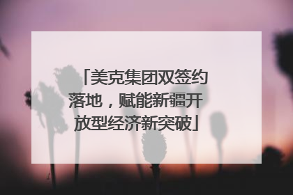 美克集团双签约落地，赋能新疆开放型经济新突破