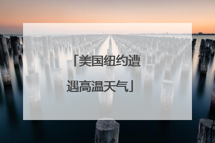 美国纽约遭遇高温天气