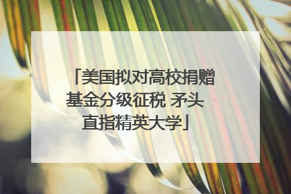 美国拟对高校捐赠基金分级征税 矛头直指精英大学