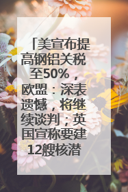美宣布提高钢铝关税至50%，欧盟：深表遗憾，将继续谈判；英国宣称要建12艘核潜艇；马斯克最新发声：不想为美政府所做的一切承担责任丨早报