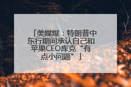 美媒爆：特朗普中东行期间承认自己和苹果CEO库克“有点小问题”