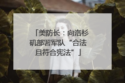 美防长：向洛杉矶部署军队“合法且符合宪法”