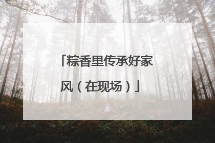粽香里传承好家风（在现场）