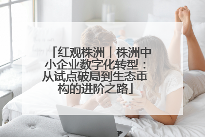 红观株洲丨株洲中小企业数字化转型：从试点破局到生态重构的进阶之路