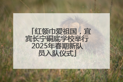 红领巾爱祖国，宜宾长宁硐底学校举行2025年春期新队员入队仪式