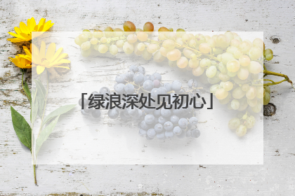 绿浪深处见初心