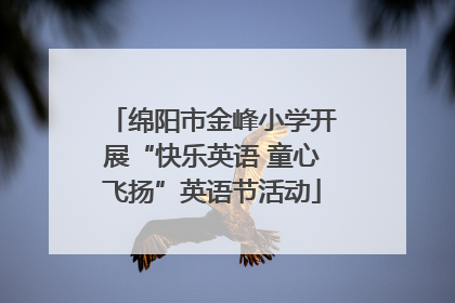 绵阳市金峰小学开展“快乐英语 童心飞扬”英语节活动