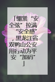绷紧“安全弦”拉满“安全感”，黑龙江省双鸭山公安用行动为平安“加码”
