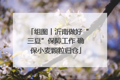 组图丨沂南做好“三夏”保障工作 确保小麦颗粒归仓