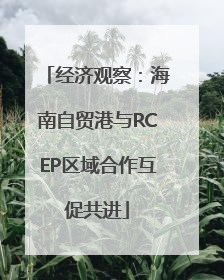 经济观察：海南自贸港与RCEP区域合作互促共进