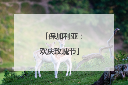 保加利亚：欢庆玫瑰节