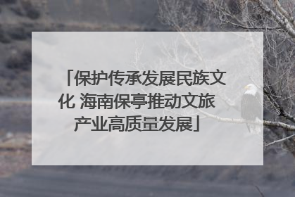 保护传承发展民族文化 海南保亭推动文旅产业高质量发展