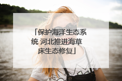保护海洋生态系统 河北推进海草床生态修复