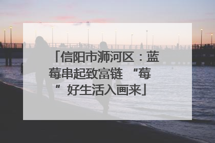 信阳市浉河区：蓝莓串起致富链 “莓”好生活入画来