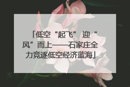 低空“起飞” 迎“风”而上——石家庄全力竞逐低空经济蓝海