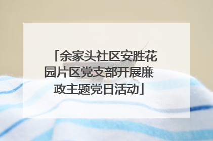 余家头社区安胜花园片区党支部开展廉政主题党日活动