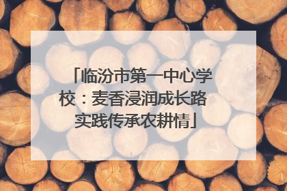 临汾市第一中心学校：麦香浸润成长路 实践传承农耕情