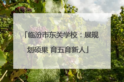 临汾市东关学校：展规划硕果 育五育新人