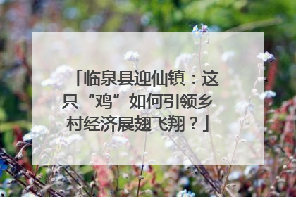 临泉县迎仙镇：这只“鸡”如何引领乡村经济展翅飞翔？