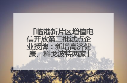 临港新片区增值电信开放第二批试点企业授牌：新增高济健康、科戈波特两家