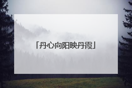 丹心向阳映丹霞