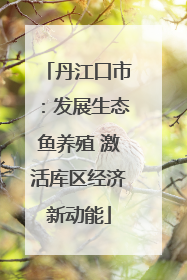 丹江口市：发展生态鱼养殖 激活库区经济新动能