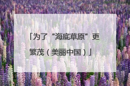 为了“海底草原”更繁茂（美丽中国）