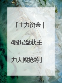主力资金｜4股尾盘获主力大幅抢筹