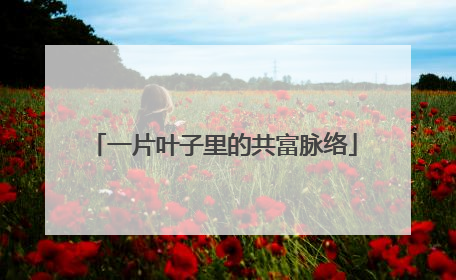 一片叶子里的共富脉络