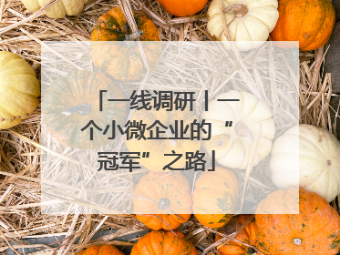 一线调研丨一个小微企业的“冠军”之路