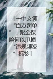 一中支领“百万罚单”，紫金保险何以甩掉“违规频发”标签