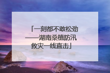 一刻都不敢松劲——湖南桑植防汛救灾一线直击