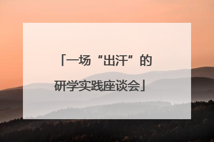 一场“出汗”的研学实践座谈会