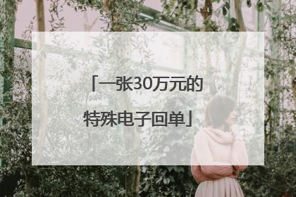 一张30万元的特殊电子回单