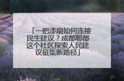 一把漆扇如何连接民生建议？成都郫都这个社区探索人民建议征集新路径