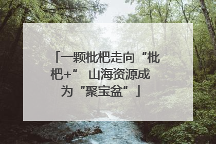 一颗枇杷走向“枇杷+” 山海资源成为“聚宝盆”