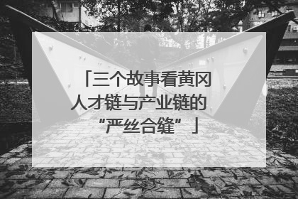 三个故事看黄冈人才链与产业链的“严丝合缝”