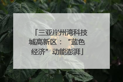 三亚崖州湾科技城高新区：“蓝色经济”动能澎湃