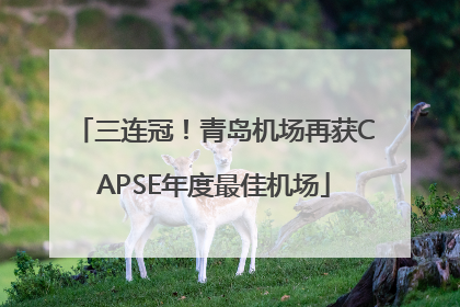 三连冠！青岛机场再获CAPSE年度最佳机场